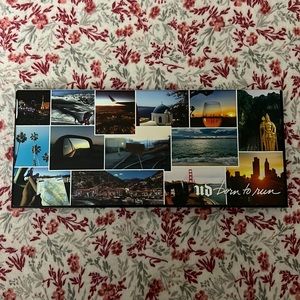 Urban Decay Born to Run Palette